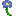 Myosotis texture